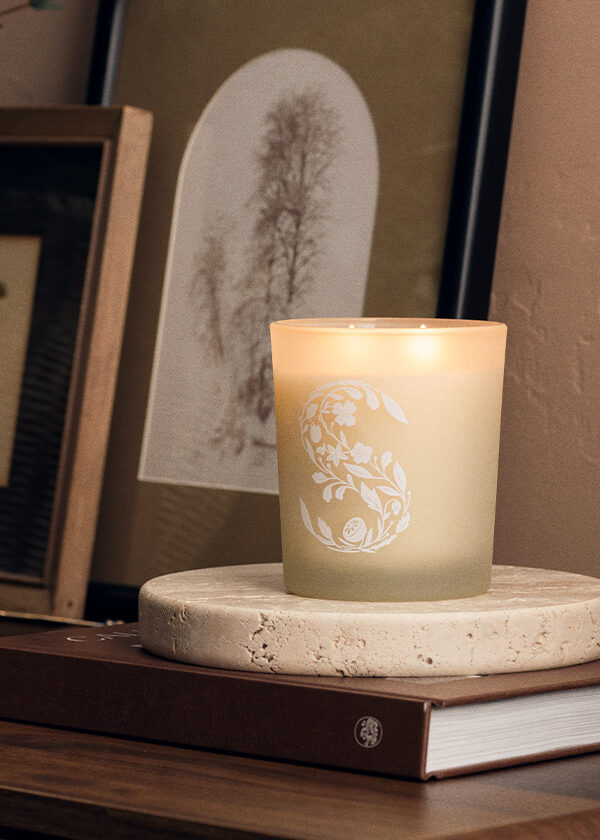 A Scentsy Candle sits on a table beside photographs, house plants, and books.