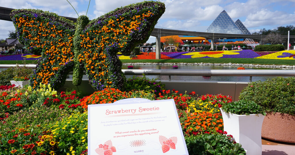 A butterfly hedge filled with flowers and surrounded by colorful potted plants is part of Scentsy's display at the EPCOT International Flower & Garden Festival at Walt Disney World Resort in Florida. 