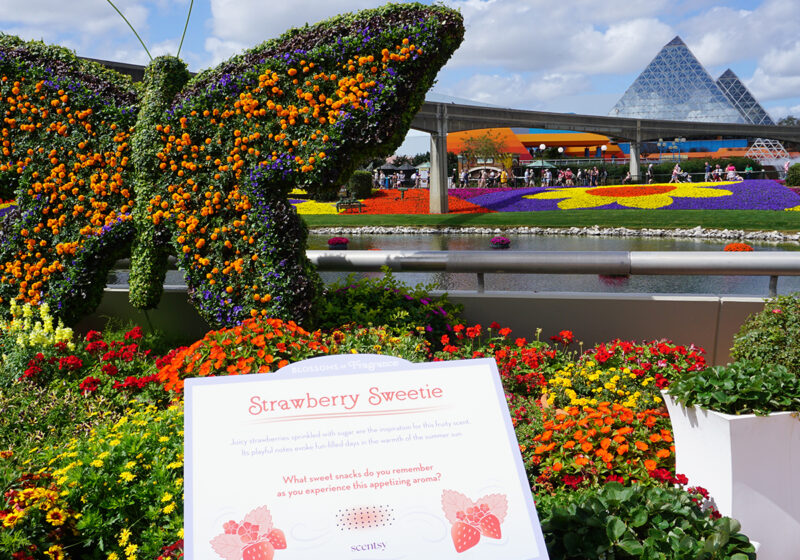 We’re back at the 2026 EPCOT<sup>®</sup> International Flower & Garden Festival at Walt Disney World<sup>®</sup> Resort 