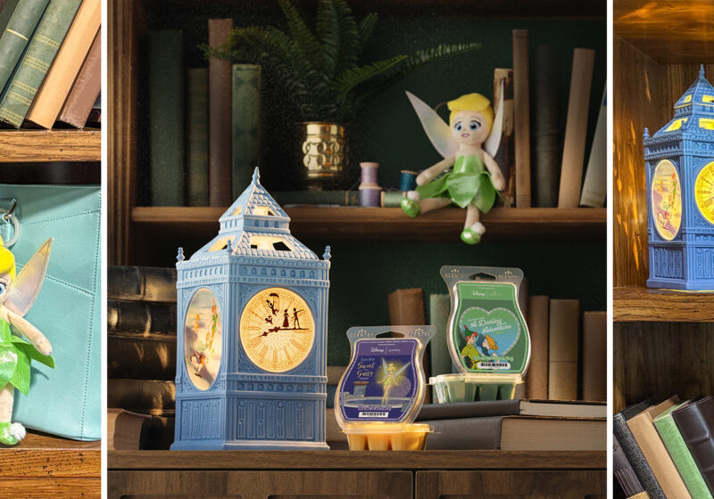 Decorate your bookshelf like a fairycore portal 
