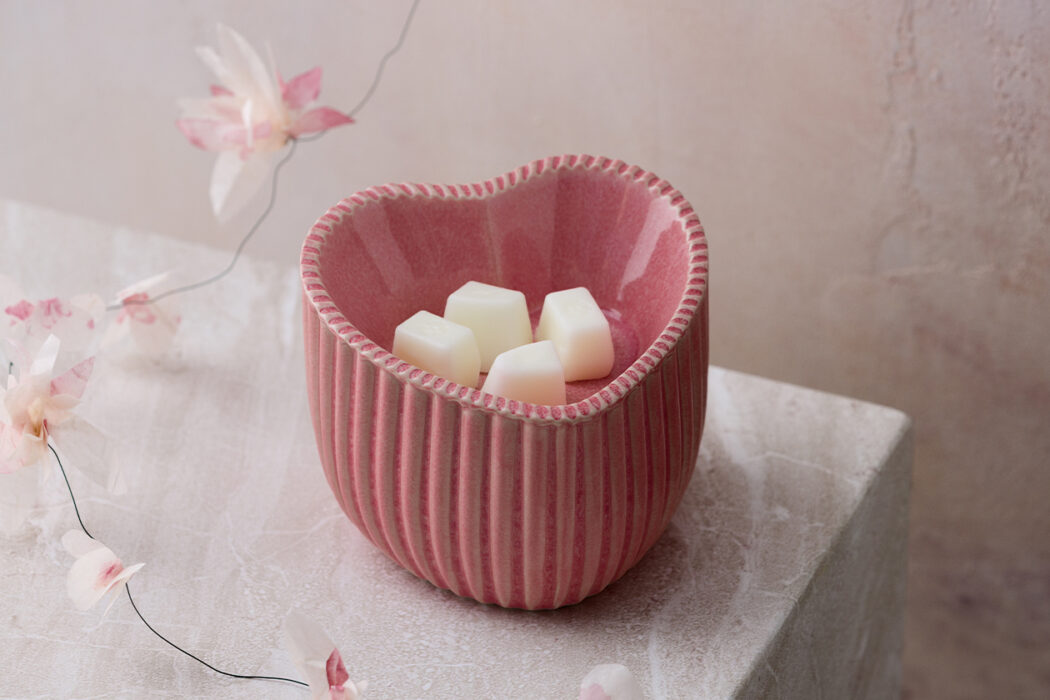 Scentsy’s Charitable Cause program — what you need to know! 