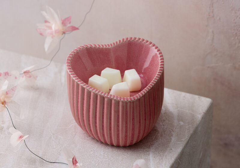 Scentsy’s Charitable Cause program — what you need to know!