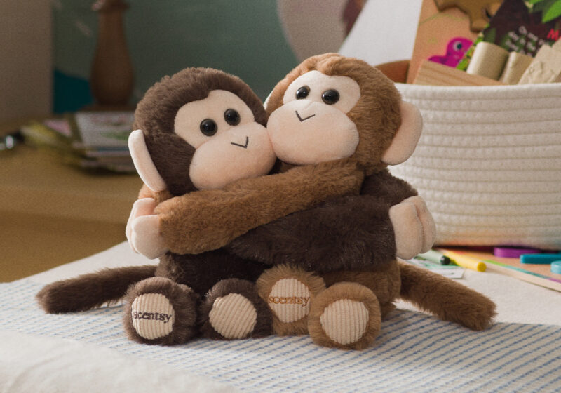 Scentsy’s Charitable Cause program — what you need to know! 