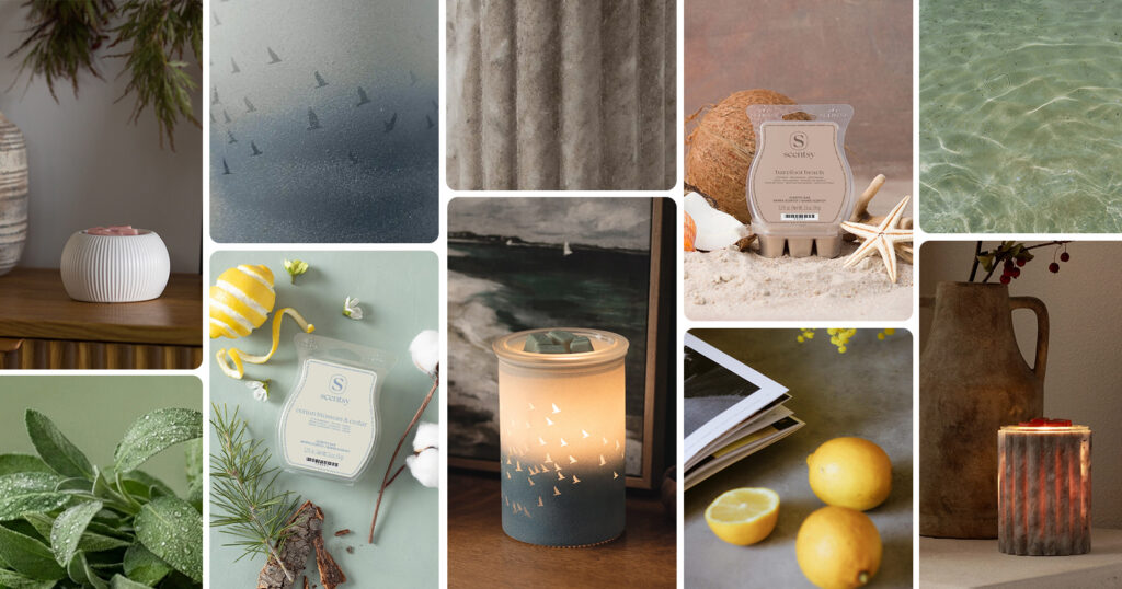A photo grid showing Warmers, Scentsy Bars and more for Father's Day gifts and June decor.
