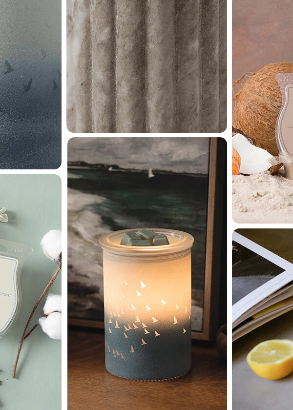 A photo grid showing Warmers, Scentsy Bars and more for Father's Day gifts and June decor.