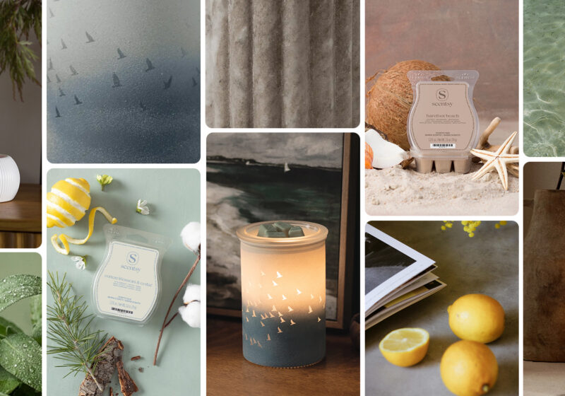 June home fragrances that dads will love