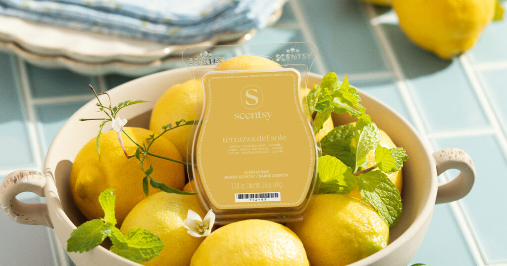 A Terrazza Del Sole Scentsy Bar, wax melts