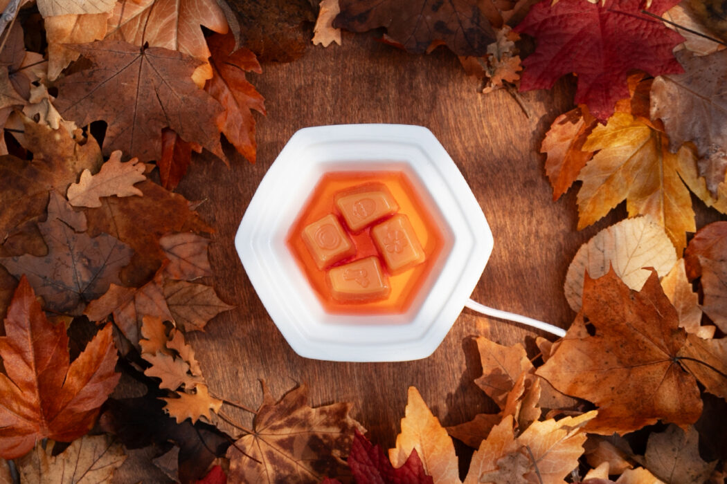 Cozy science: Five reasons why we love fall fragrance 