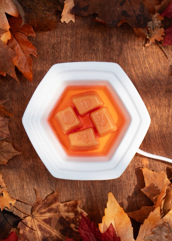 A white Scentsy Warmer viewed from above filled with orange wax melts. The warmer rests on a wooden surface surrounded by colorful fall leaves.