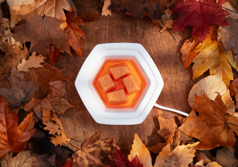 Cozy science: Five reasons why we love fall fragrance