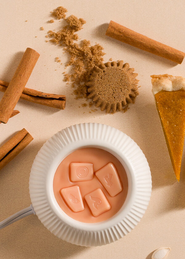A top-down view of a Scentsy Warmer warming orange wax and surrounded by cinnamon, other spices and small pumpkins.